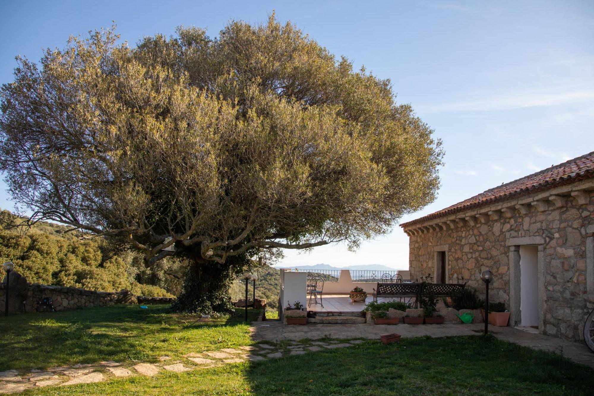 Vila Cantina&Agriturismo Canu Luogosanto Exteriér fotografie